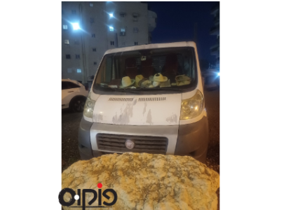 פיאט סקודו 2013
