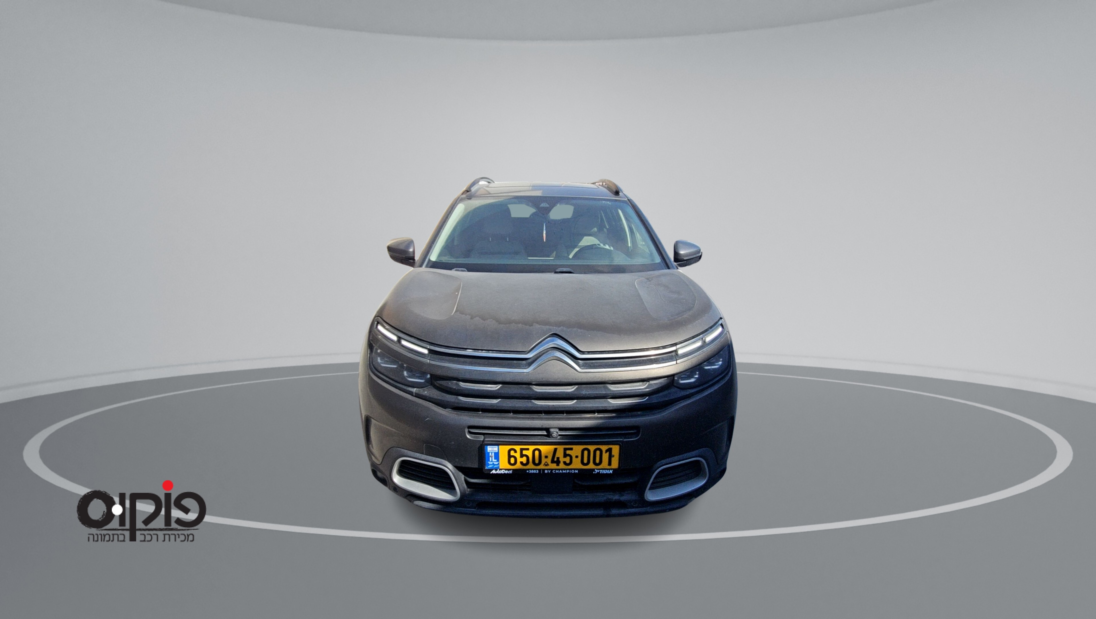 סיטרואן  2019