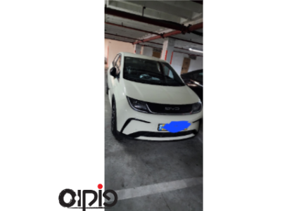 BYD דולפין 2024