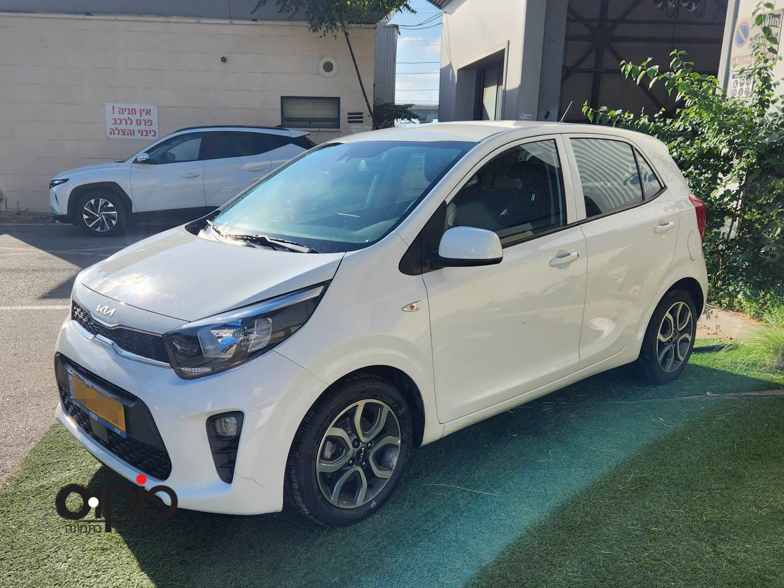 קיה פיקנטו 2021